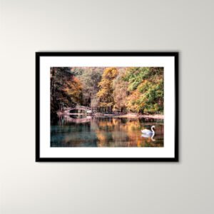 A3 Framed Photo / Alone