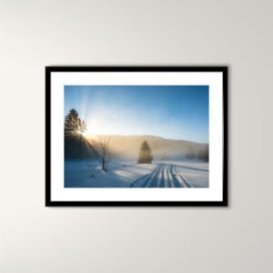 A3 Framed photo / Misty Forest