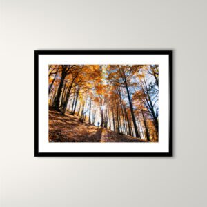 A3 Framed photo /  Right way