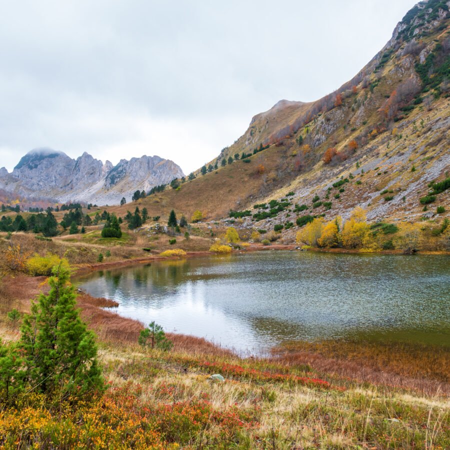 Jezero Gornje Bare