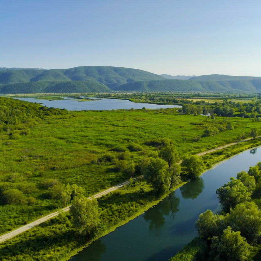Hutovo Blato